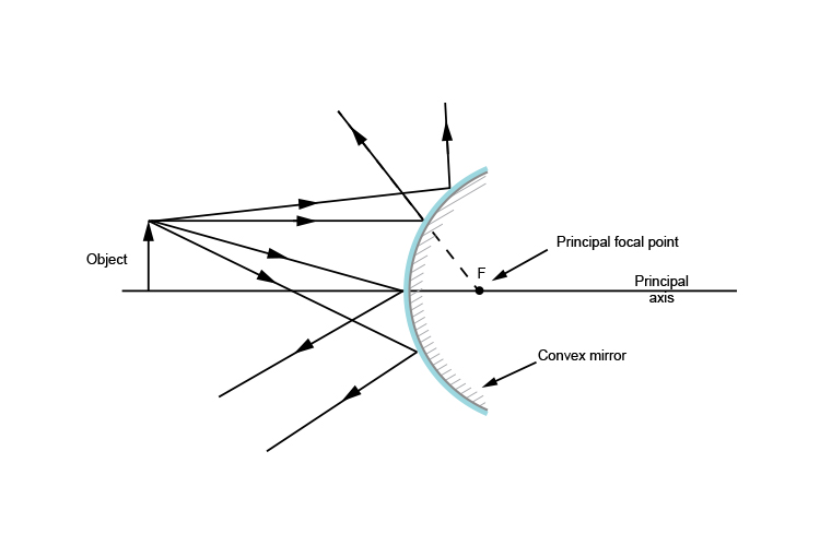 Ray diagram showing the principal focal point of a convex mirror